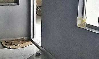 Imagem: Casa com 02 Quartos amplo Terraço com Espaço