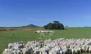 Imagem 4: Imóvel para venda com 110400000 metros quadrados em Zona Rural - Caiapônia - GO
