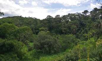 Imagem 2: Chácara com água e luz 2 km asfalto