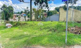 Imagem 4: Vendas Terreno Piraquara PR