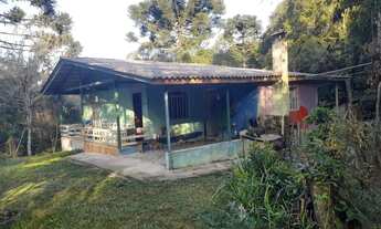 Imagem: Chácara em Mandirituba