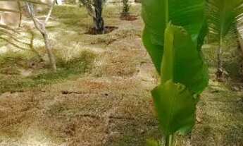 Imagem 4: Vende-se casa Casa com 2 dormitórios