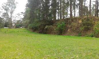 Imagem 2: Chácara Pinho - Guarulhos/SP