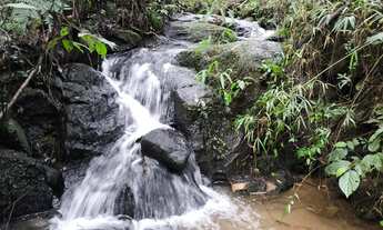 Imagem 3: Chácara formada Santa Cruz Campo Largo 24.200m² ou 1 alq., casa, lavoura, tanque,cachoeira