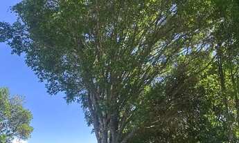 Imagem 7: Terreno 500m² em Ibiúna Comece a Construir Imediatamente!