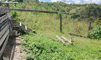 Imagem: A M IMOVEIS VENDE EXELENTE FAZENDA NA FERCAL