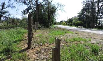 Imagem 3: Sítio em Rodovia RS-020 - Vera Cruz - Gravataí/RS