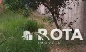 Imagem 4: Terreno - João Aranha - Paulínia