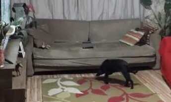 Imagem: Casa pra vender