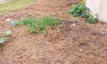 Imagem 2: Vende se terreno na Vila Dos Eucaliptos