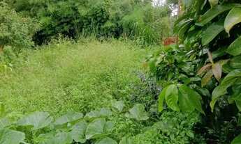 Imagem 5: Terreno à venda com 1.500m² no Chácaras Caxingui Embu das Artes/SP