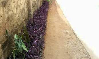 Imagem 3: Excelente Casa Em Guajará Mirim