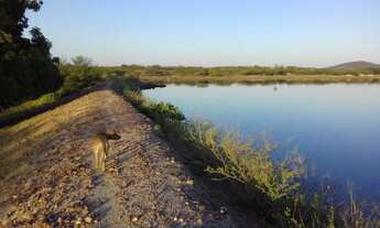 Imagem: Fazenda no município de Assú/RN - Área