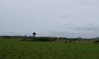 Imagem 2: Fazenda de 1000 hectares na serra da lua, ler descrição do anuncio