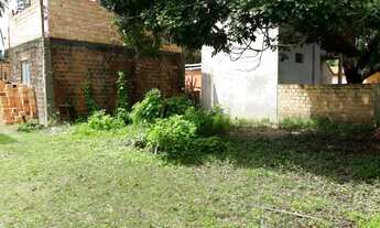 Imagem: Lote na Ilha de Algodoal-Pa a 300 mts da