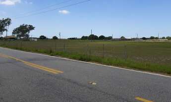 Imagem: Fazenda de 90 alqueires em Flexeiras (Quissamã)