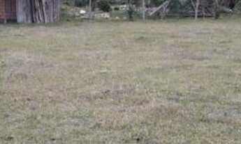 Imagem 5: Terreno 750 mts quadrados .próximo a praia do Ouvidor