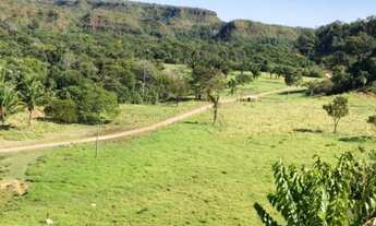 Imagem 5: Fazenda no Município de Campos Lindo TO