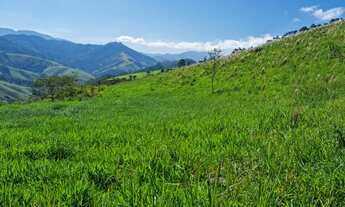 Imagem 2: Terreno em São Francisco Xavier-SP