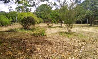 Imagem 7: Lotes espetacular em Aldeia, arborizados, murado, plano, legalizado!