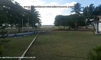 Imagem 7: Fazenda em Monte Alegre 86hectares