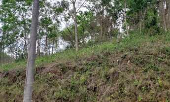 Imagem 5: Terreno para venda com 24.800 m2 em Pedro do Rio - Petrópolis - RJ