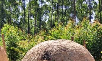 Imagem 2: Fazenda/Sítio/Chácara para venda com 200ha em Zona Rural - Córrego Danta - MG