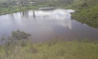 Imagem 6: Fazenda com 4 aptidões para venda com 222 hectares em Dário Meira - BA