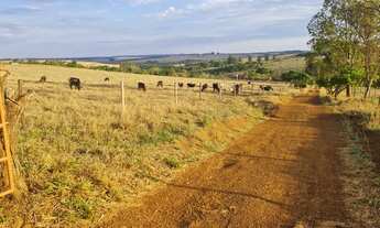 Imagem 2: Fazenda 15 alqueires em Anápolis - GO