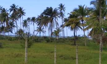 Imagem 5: Terreno para venda possui 20.000 metros quadrados em Rod. Ilhéus - Itacaré BA
