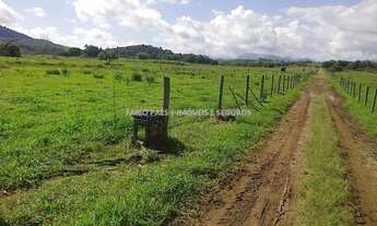 Imagem 3: Fabio Paes Imóveis - Fazendinha a venda com 5 alq (24.20 ha) toda no pasto, plana
