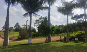 Imagem: Lote/Terreno para venda possui 1000 metros