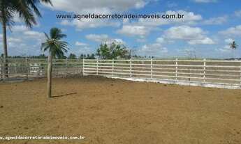 Imagem 6: Fazenda em Monte Alegre 86hectares