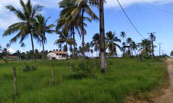 Imagem 2: Terreno para venda possui 20.000 metros quadrados em Rod. Ilhéus - Itacaré BA