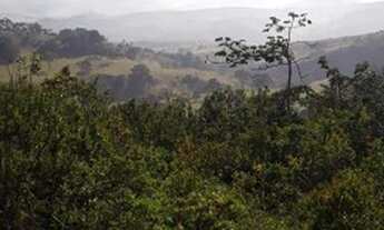 Imagem 2: Sítio 12 Hectares Bom Jardim -Sítio 16 Hectares Liberdade