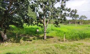 Imagem 4: Fazenda Chapada Guimaraes - MT