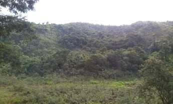 Imagem 6: Sítio da Lajinha 16 Hectares - Sítio Carvalhos 25.000 m²