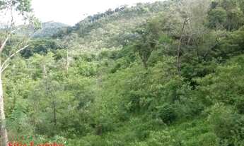 Imagem 3: Sítio da Lajinha 16 Hectares - Sítio Carvalhos 25.000 m²