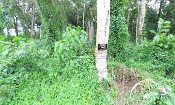 Imagem 4: Lotes exclusivos no Cônego - Lote 15