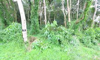 Imagem 6: Lotes exclusivos no Cônego - Lote 15