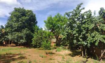 Imagem 6: Lote com 1584 para venda com casa de 3 quartos com uma suíte