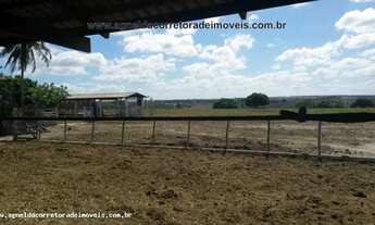 Imagem 5: Fazenda em Monte Alegre 86hectares