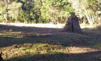 Imagem 4: Excelente Chacara com 13.000 m2 em C. Largo da Reseira 390.000