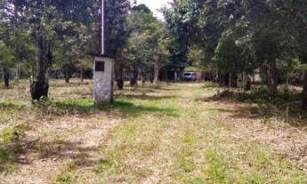 Imagem: Lotes espetacular em Aldeia, arborizados