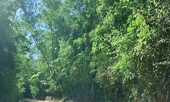 Imagem 5: Terreno para venda com 58.102 m2 em Pedro do Rio - Petrópolis - RJ