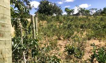 Imagem 3: Chácara 4.000m² ,todo cercada, plana, água, luz, internet, Jaboticatubas