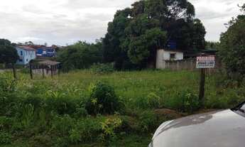 Imagem 3: Lote em Mar Azul