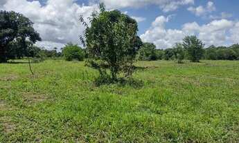 Imagem 4: São 7 heketare com mas de 85% aproveitalvel e plano, se vende todo ou fração de heketares