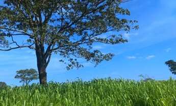 Imagem 7: Excelente fazenda em Limeira