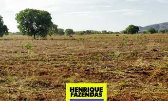 Imagem 2: Fazenda pra soja pertinho de Palmas barro vermelho e plana